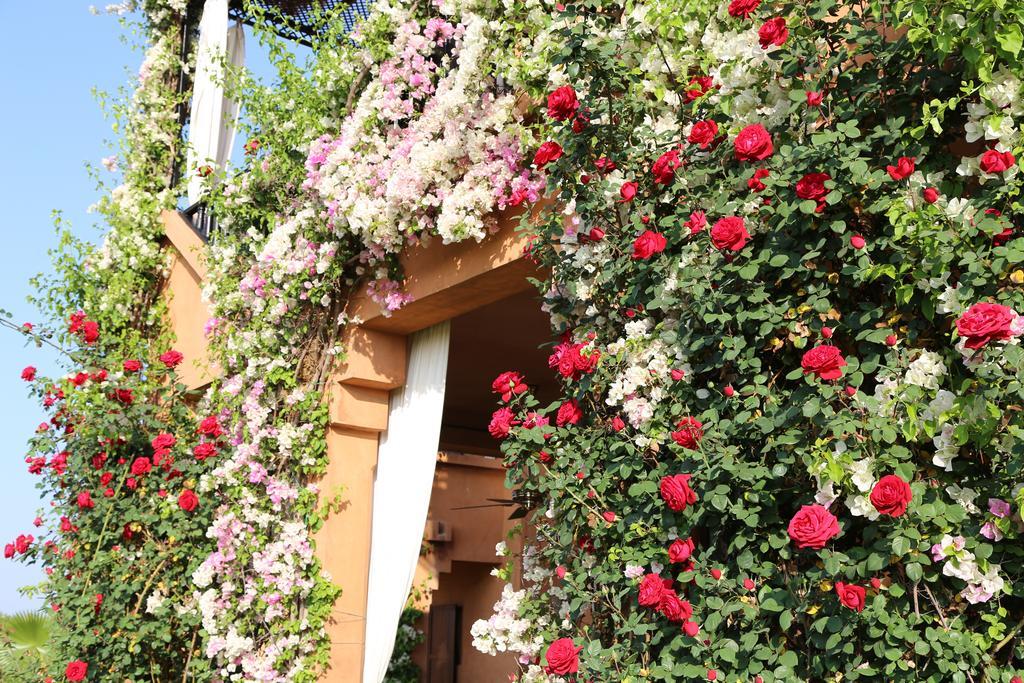 Riad Al Mendili Private Resort & Spa Had Abdallah Rhiat 외부 사진