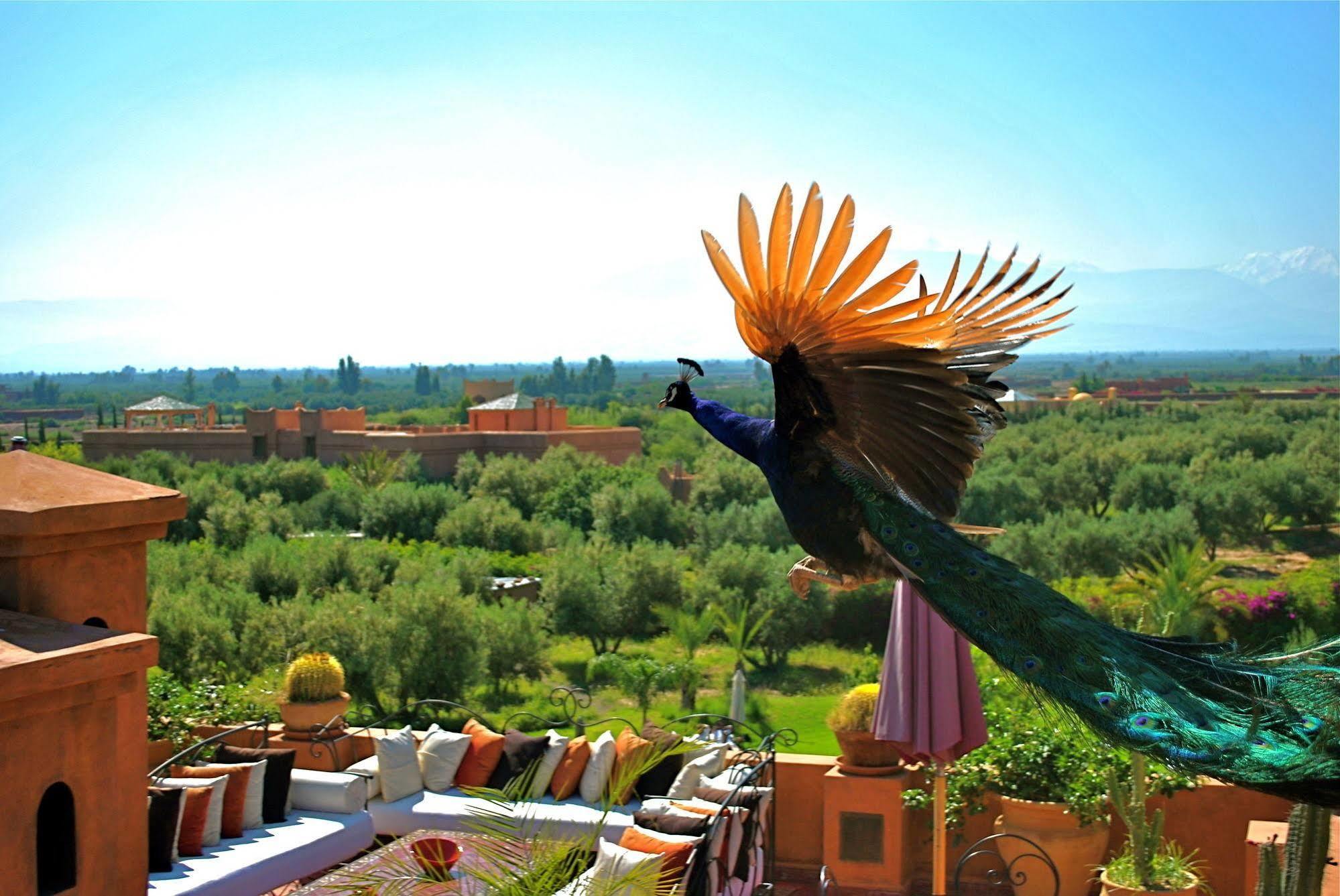Riad Al Mendili Private Resort & Spa Had Abdallah Rhiat 외부 사진
